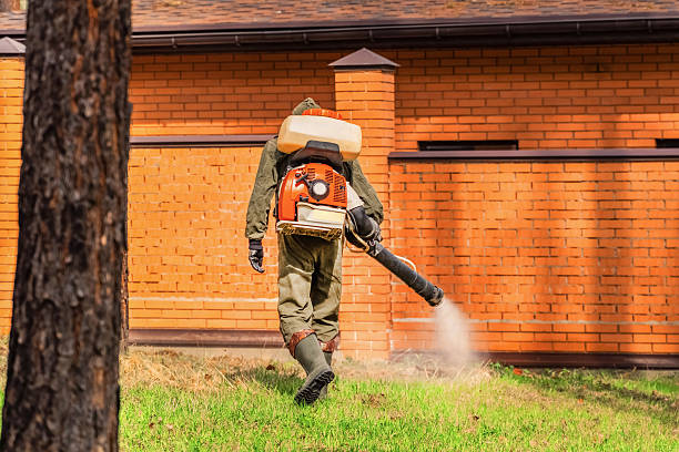 Bed Bug Clearance Verification and Documentation in New Braunfels